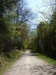 Dalby Forest, only a few miles away, perfect for biking and walking