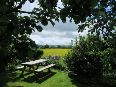 Picnic at the end of the garden, overlooking buttercup meadows.