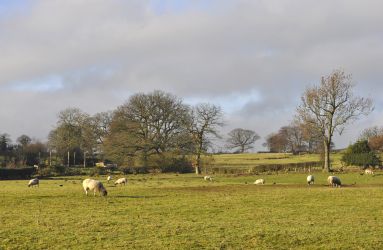 Bramblewick Cottage