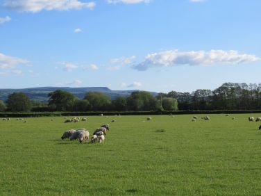 Hay Bluff and The Black Mountains in the Brecon Beacon National Park from the garden