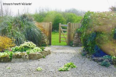 View to your garden gate from the lounge
