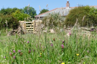 Showing the wild side