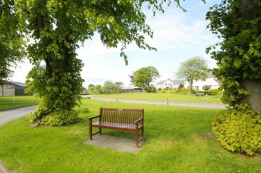 The green outside the house