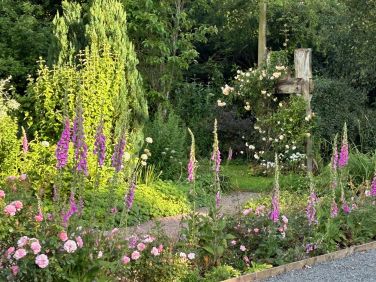 The garden is just beautiful.  Note the cider press covered in roses and clematis