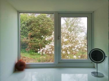 View from the downsatirs bathroom window