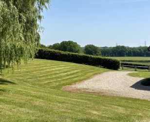 View from the Garden