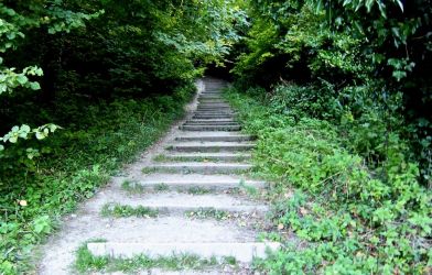Walking along the South Downs Way