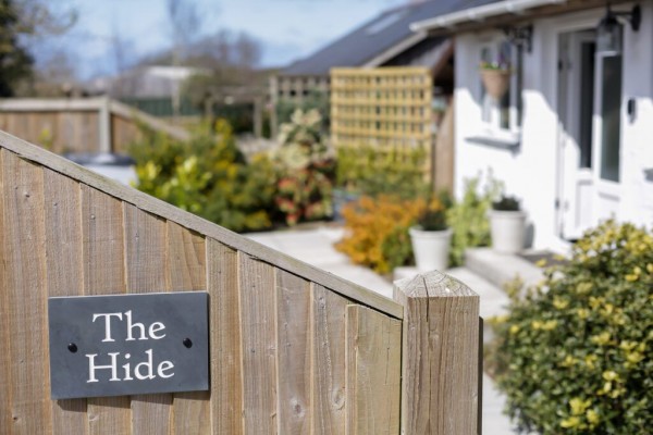 The Hide