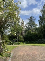 View to church from driveway