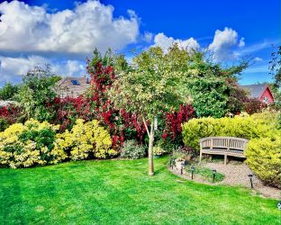 Secure & Private Rear Garden
