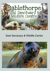 Local Seal Sanctuary