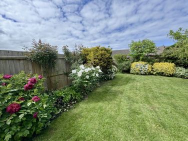 View of rear garden