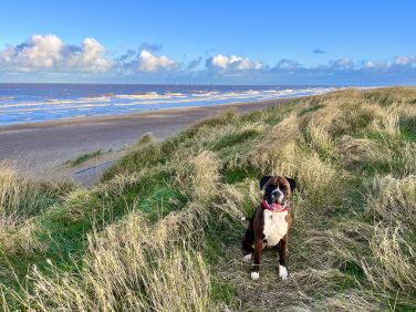 Trusthorpe Beach & Dunes