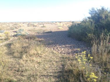 Beach access 50 metres