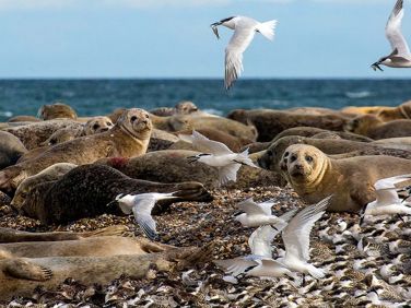 8 Carpenters Cottages