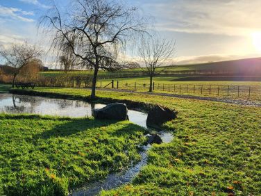 View from front door on winter morning