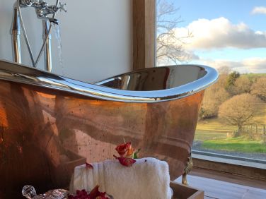Feature bath in bedroom at Oakview