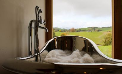 Feature bath with a view