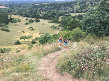 Ancient Yew Woods in nearby Kingsley Vale
