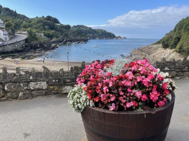 Combe Martin Beach