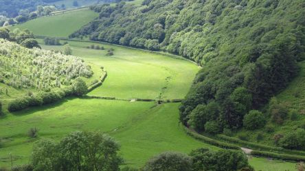 The one mile of lane winding from Llanfairwaterdine to Cwm Cole