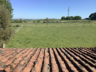View from bedroom window