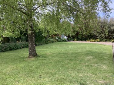 Garden view from gate