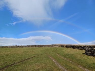 Double rainbow just behind Mrs Fig's.