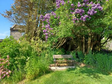Bench in the garden for a quiet moment to enjoy the view and the birdsong.