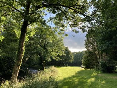 The riverside walk in late afternoon along the Fowey at Rivermead.