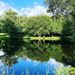 You can relax by the lake.
