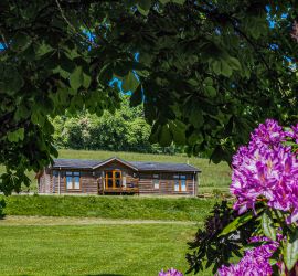 Owl Lodge sits on a slope overlooking the Glynn Valley.