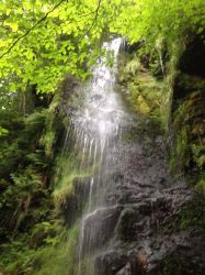 Mallyan Spout waterfall, Goathland