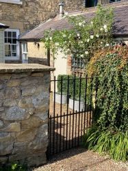 Courtyard garden
