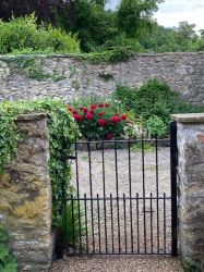 The back gate