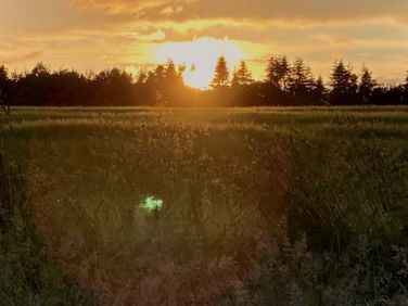 Hambleton summer sunset