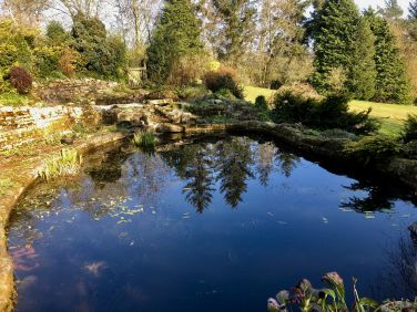 Cleaning up the top pond.  Lovely reflection