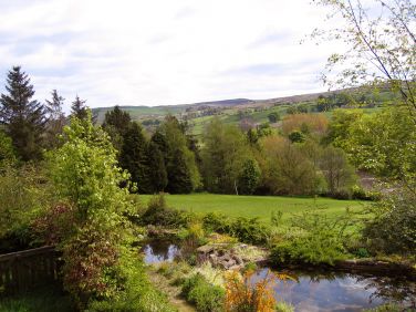 Sit on a seat looking over the ponds with glimpses of river and moors