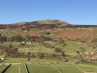 Carver from walk by River Swale
