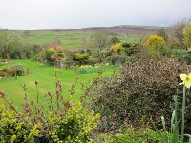 View from cottage patios