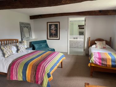 Downstairs Family Bedroom