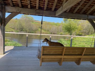 Private lake with sheltered viewing platform and swing seat