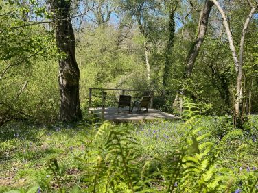 Forest bathe or bird watch from the woodland platform