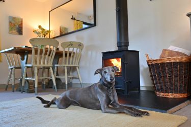 Your dog will enjoy snuggle up in front of the woodburner after a day's walking on the moor