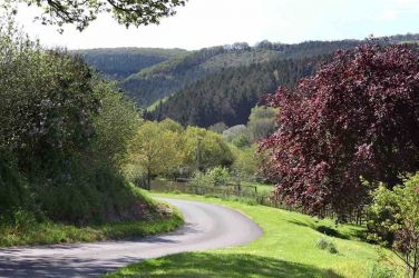 Clifford Barton's long sweeping drive with Fingle Woods and Dartmoor in the background