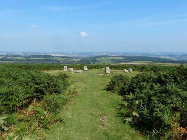 Walk up to Mardon Down and visit the Giant's Grave Stone Circle