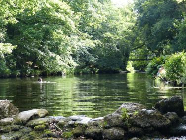 The beautiful River Teign, a stone's throw from Clifford Barton