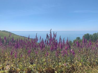 Our views in Spring time