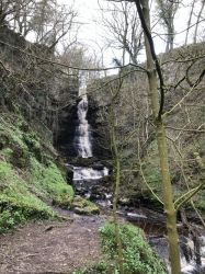 Mill Gill Force