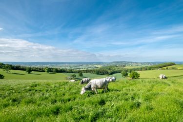 Far reaching views from lodges